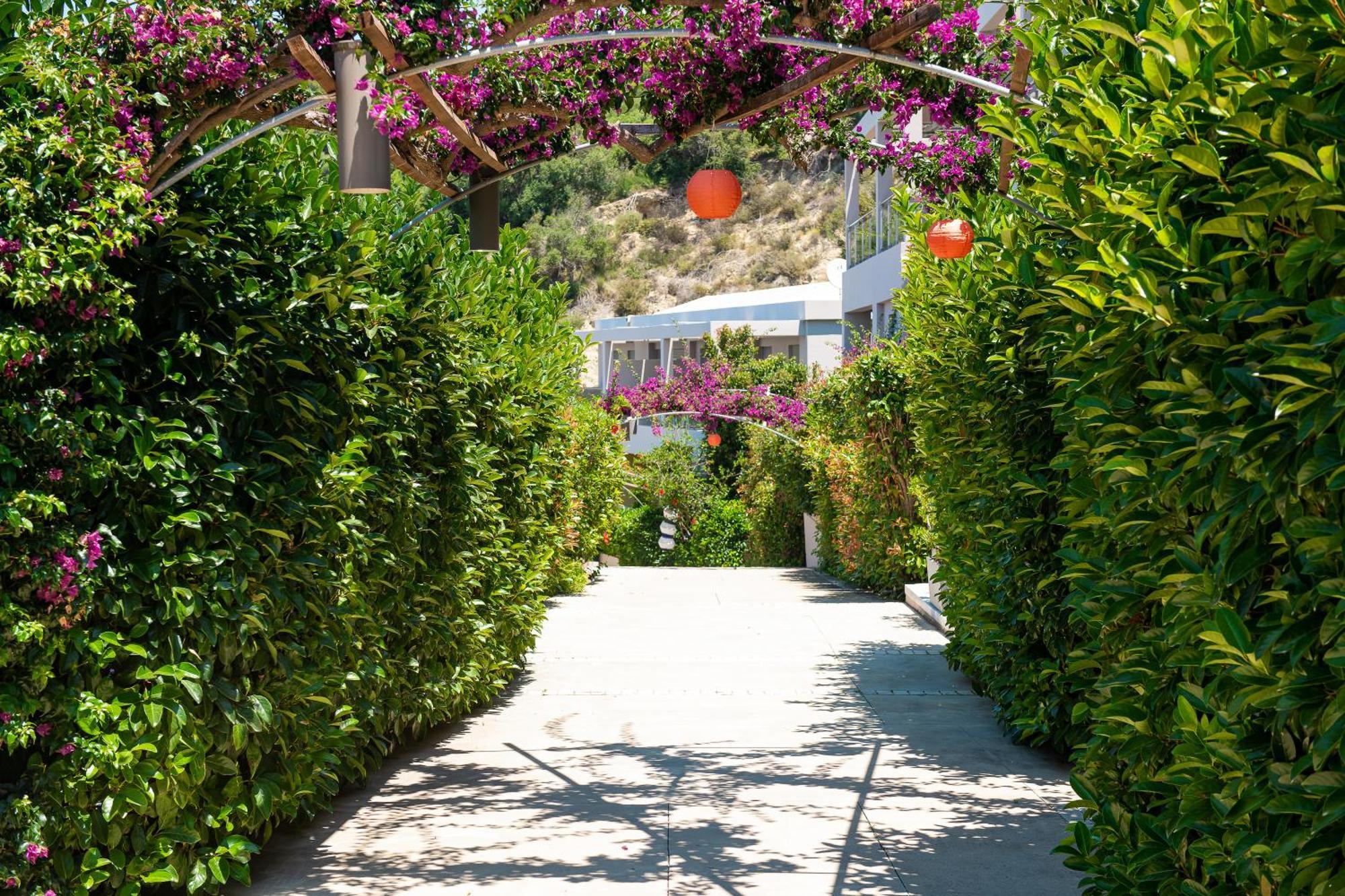 Mare Dei Suites Hotel Ionian Resort Szkafidiá Kültér fotó